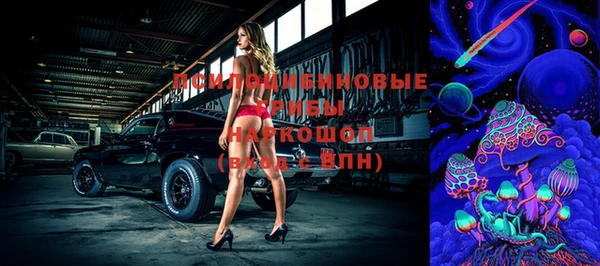 герыч Алексин