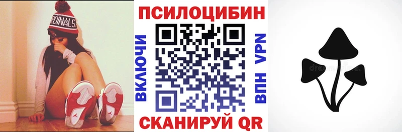 Псилоцибиновые грибы Psilocybe  Сенгилей 
